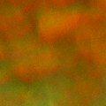 Bokeh-535